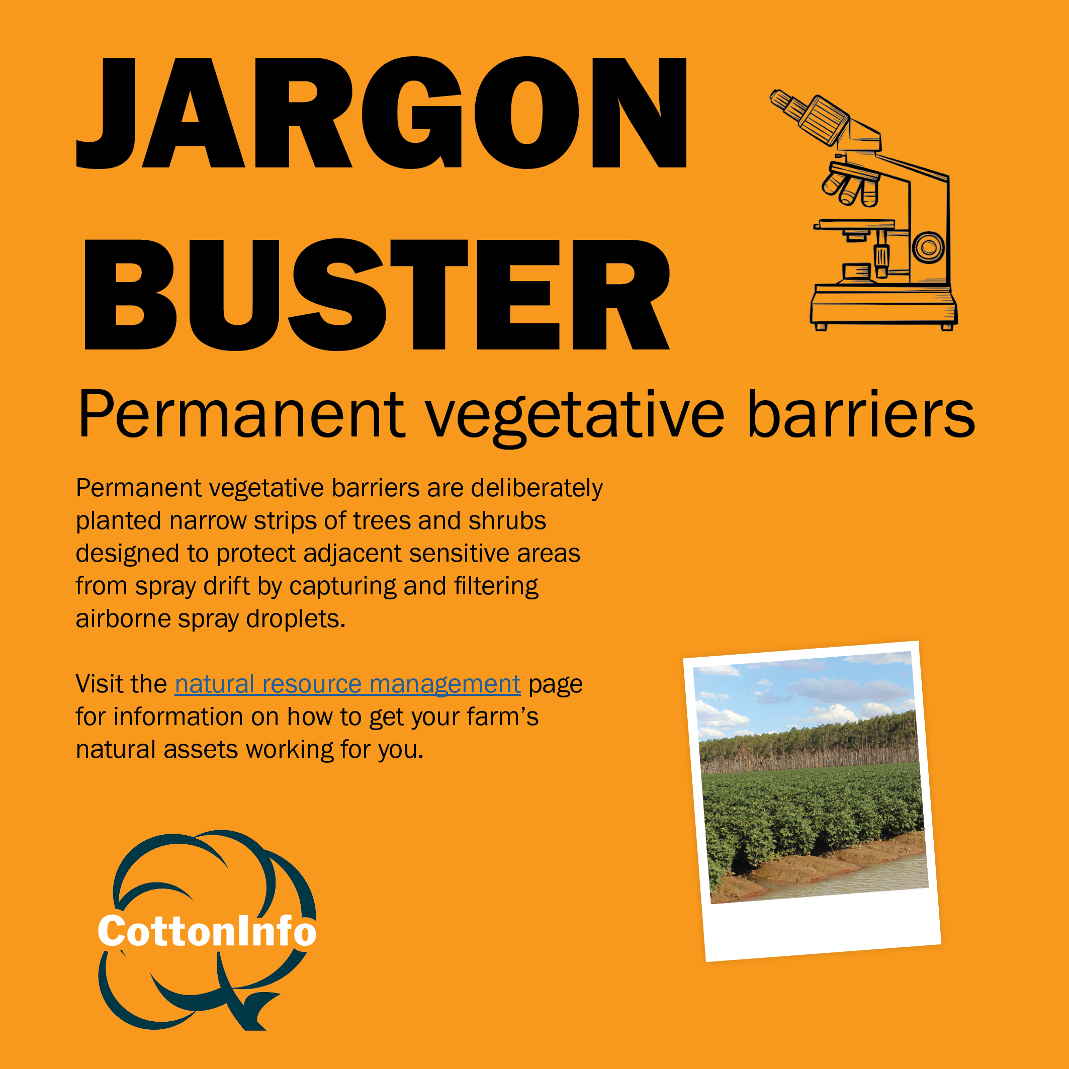 Jargon Buster PVB