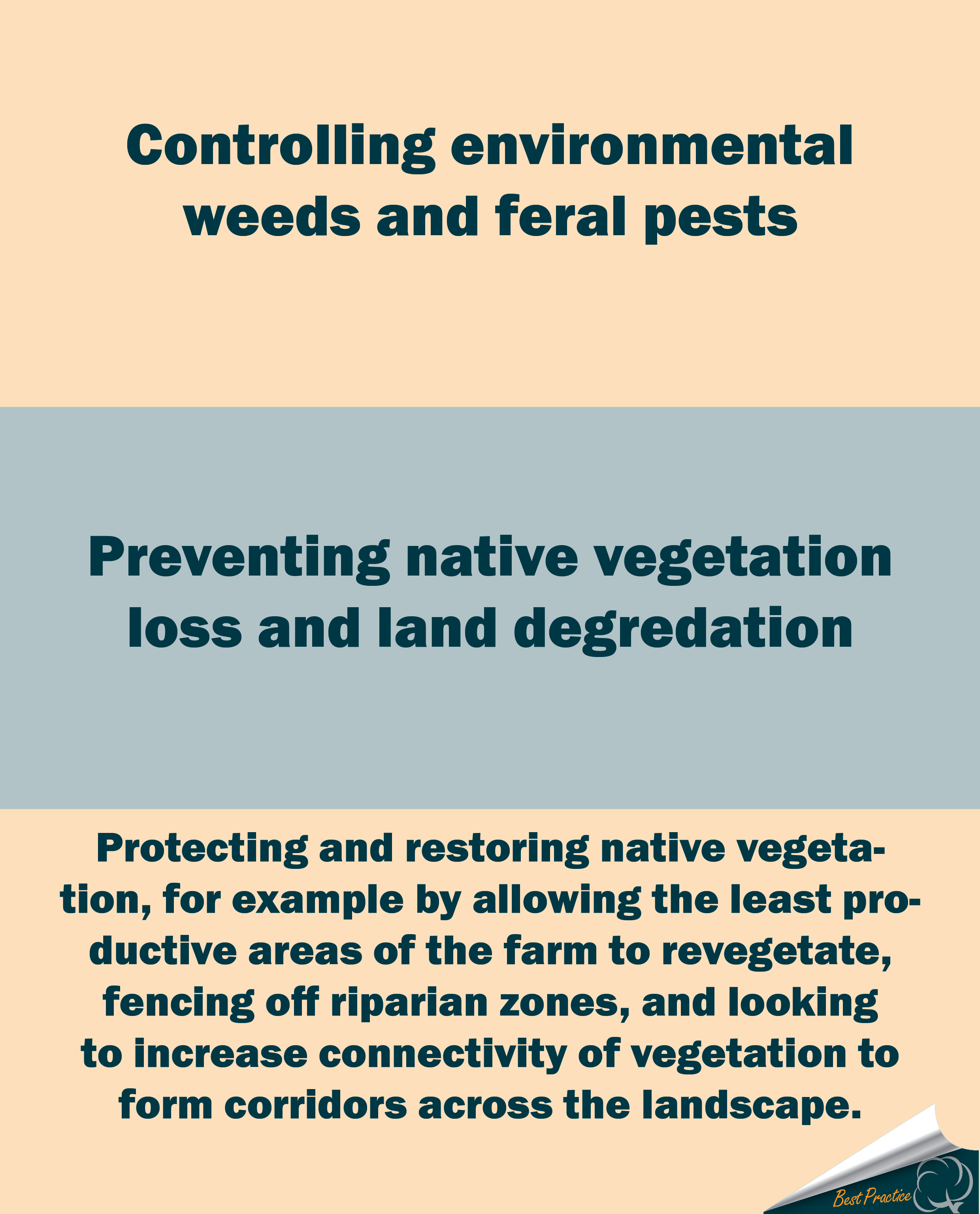 biodiversity