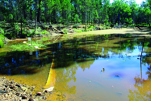Fyke nets and electrofishing are used to sample the river reach near irrigation offtakes.