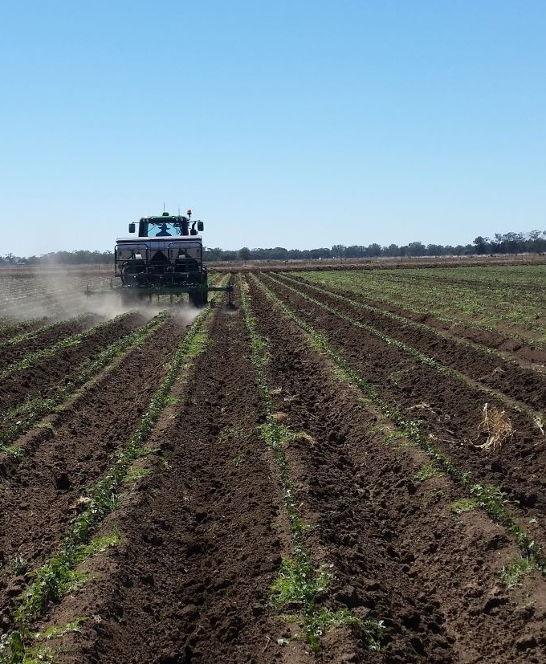 crop spraying