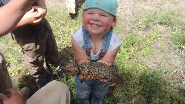 Elsie Palfreyman - daughter of Cotton RiverCare Champion, Mark Palfreyman – holds a shingleback lizard, found as part of the fauna survey conducted on ‘Taraba