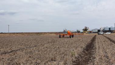 field