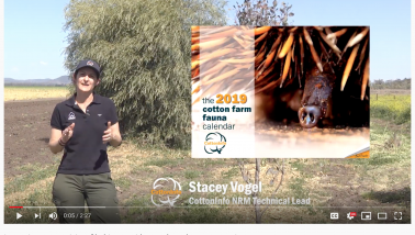 screenshot of video