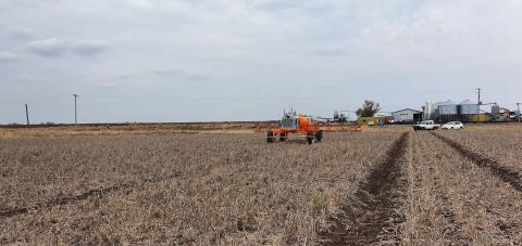 field