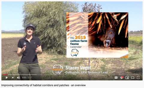 screenshot of video
