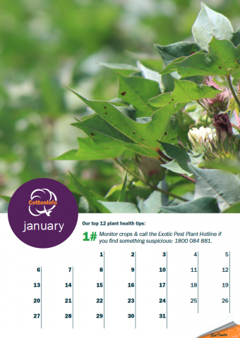 calendar screenshot