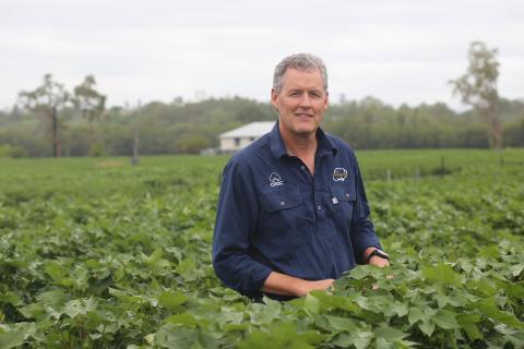 Warwick Waters